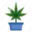 pot, plant, sprout, cannabis, gardening 