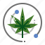 production, cannabis, hemp, marijuana, drug 