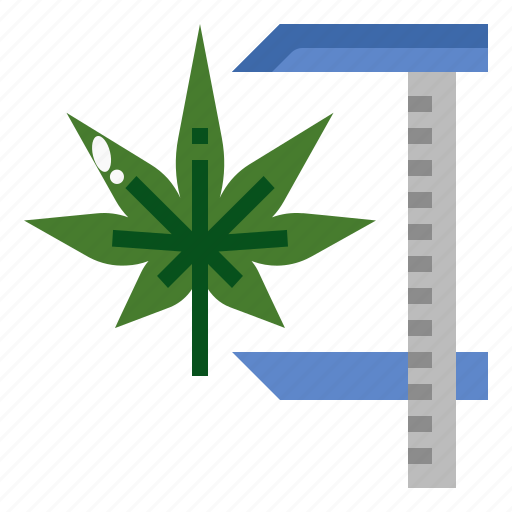 Standardization, measurement, cannabis, marijuana, production, control icon - Download on Iconfinder
