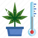 temperature, control, cannabis, marijuana, planting, smart, farm
