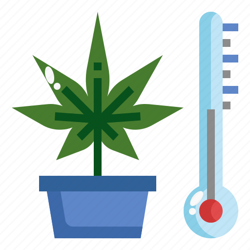 Temperature, control, cannabis, marijuana, planting, smart, farm icon - Download on Iconfinder