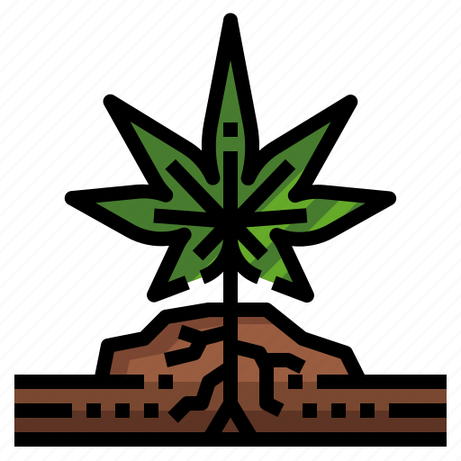 Plant, cultivation, hemp, cannabis, drug icon - Download on Iconfinder