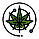 production, cannabis, hemp, marijuana, drug