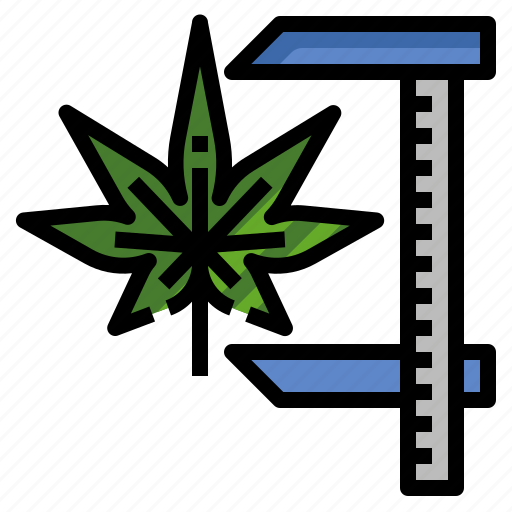 Standardization, measurement, cannabis, marijuana, production, control icon - Download on Iconfinder