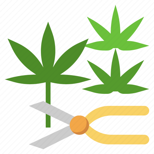 Harvest, cannabis, weed, farming, cut icon - Download on Iconfinder