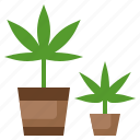 hydroponic, cannabis, weed, marijuana