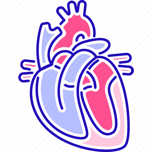 Anatomy, cardiology, healthcare, heart, organ icon - Download on Iconfinder