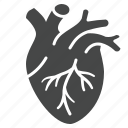 heart, transplant, medical, cardiovascular, organ