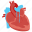tetralogy, of, fallot, tof, heart, organ, ventricular, defect 