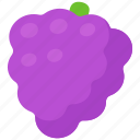 grape, fruit, grapes, cartoon, cute, purple, gummy