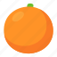 orange, fruit, cartoon, cute, citrus, juice 