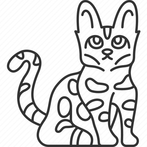 Bengal, cat, feline, domestic, animal icon - Download on Iconfinder