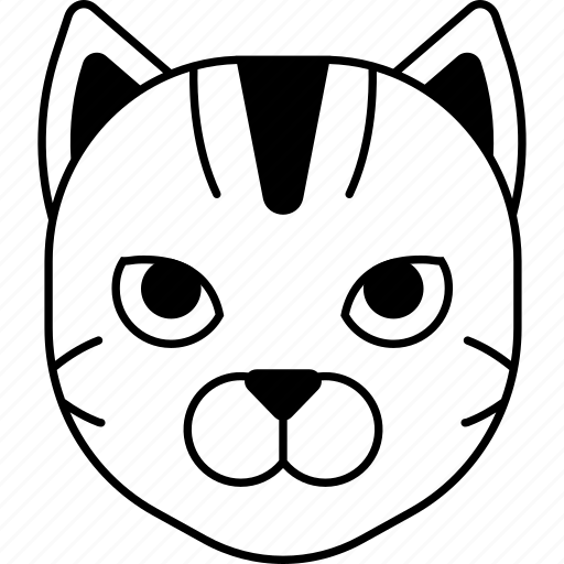 American shorthair, animal, cat, kitten, pet, purebred, shorthair icon - Download on Iconfinder