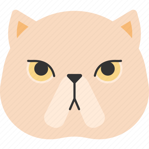 Animal, breed, british, cat, exotic shorthair, pet icon - Download on Iconfinder