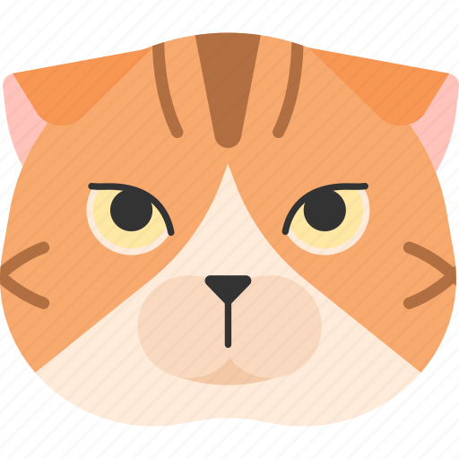 Animal, breed, cat, pet, purebred, scottish icon - Download on Iconfinder