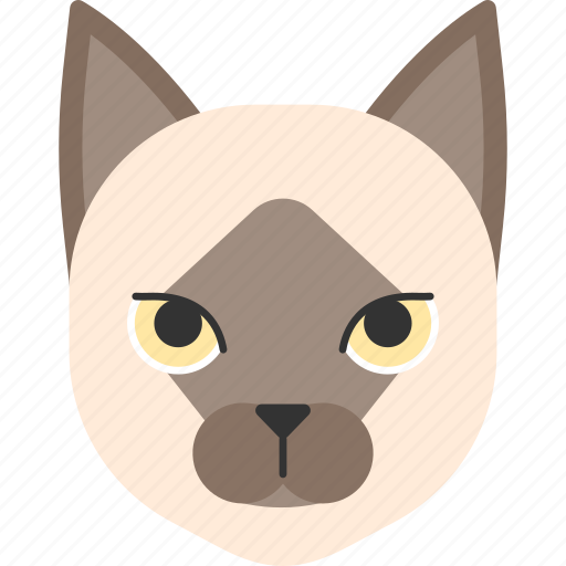 Animal, breed, burma, burmese, cat, pet icon - Download on Iconfinder