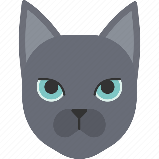 Animal, breed, cat, pet, purebred, russian, russian blue icon - Download on Iconfinder