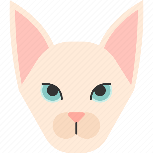 Animal, breed, cat, pet, purebred, shorthair, sphynx icon - Download on Iconfinder