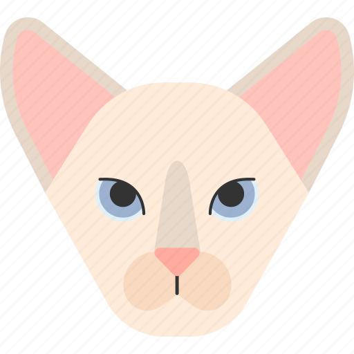 Animal, british, cat, oriental, pet, purebred, shorthair icon - Download on Iconfinder