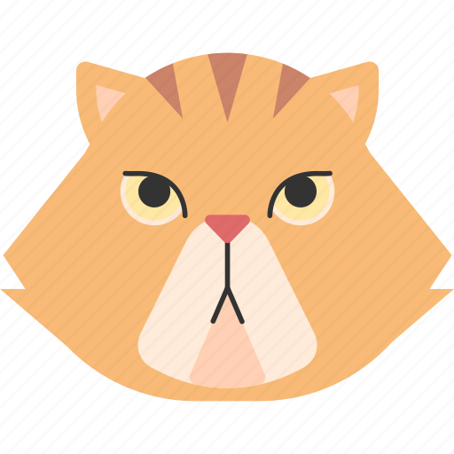 Animal, breed, cat, iran, persian, pet, purebred icon - Download on Iconfinder