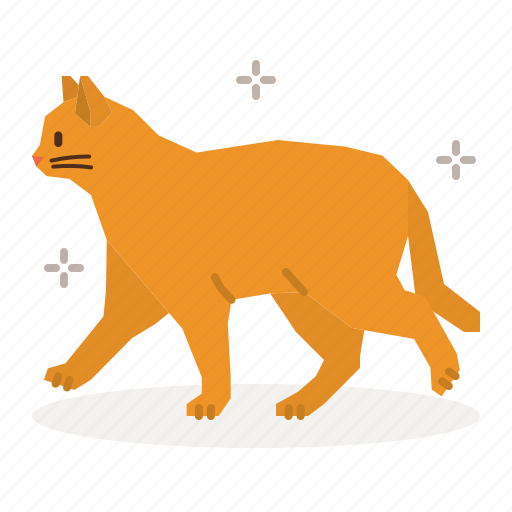 Cat, care, walk, walking, stroll icon - Download on Iconfinder