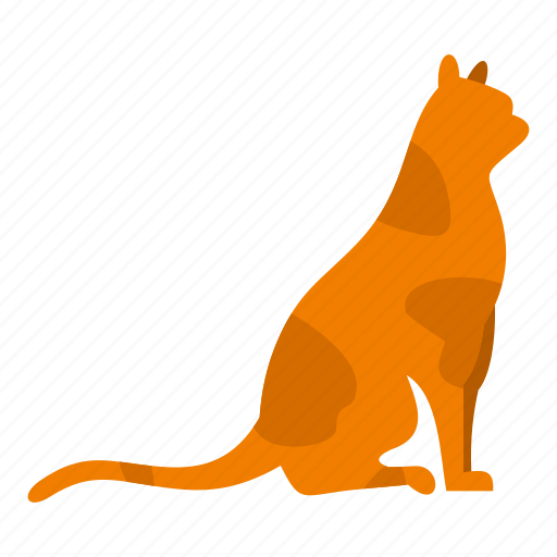 Adorable, animal, beautiful, cat, character, long, sitting icon - Download on Iconfinder