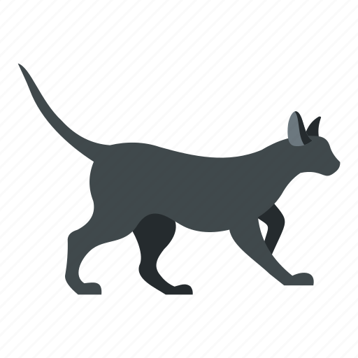Adorable, animal, beautiful, cat, character, cute, long icon - Download on Iconfinder