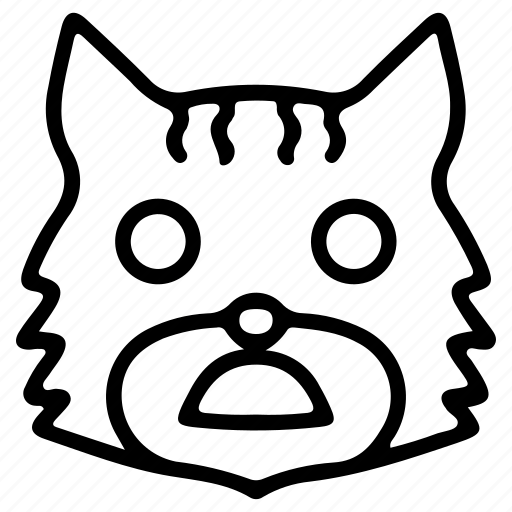 Cat, cute, emoji, emoticon, shocked icon - Download on Iconfinder
