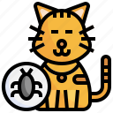 flea, vet, bugs, magnifying, glass, search, animals, cat