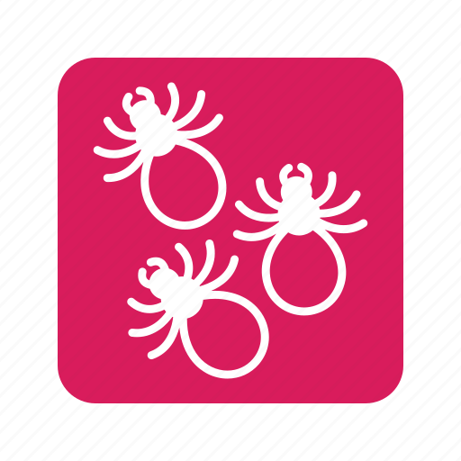 Animal, cat, cat fleas, kitty, lice, paracites, pet icon - Download on Iconfinder