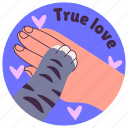 cat, cute, pet, happy, love, funny, romance