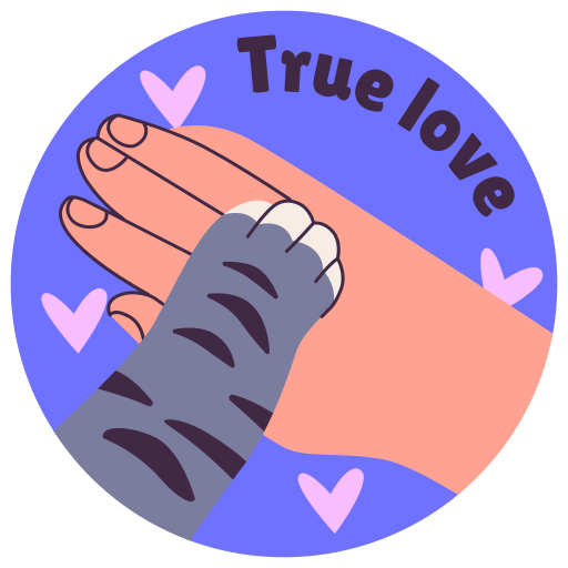 Cat, cute, pet, happy, love, funny, romance icon - Download on Iconfinder