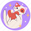 cat, cute, pet, happy, love, funny, animal
