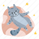 cat lying on a bean bag, cat, pet, cute cat, cat lovers, kitten, kitty, international cat day, sticker