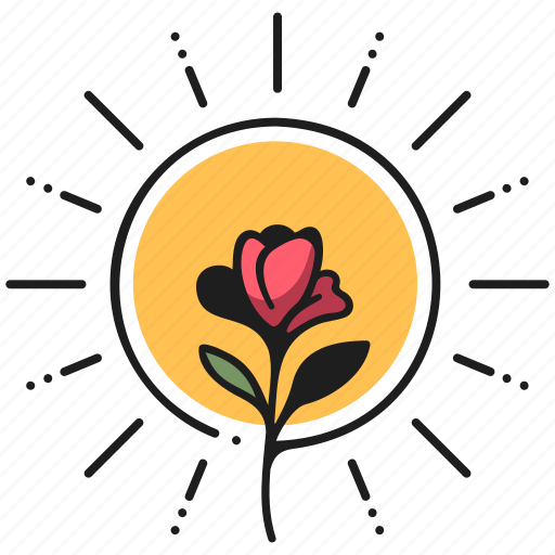 Flower, sun, summer, floral, plant, blossom, spring icon - Download on Iconfinder