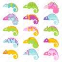 chameleons, flat, icons, set, colorful, animals, wild, lizard, jungle