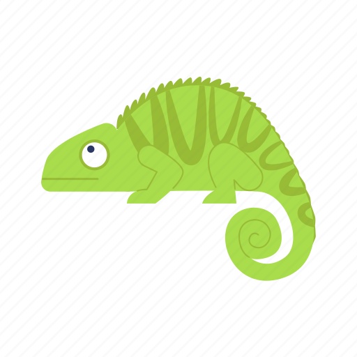 Zoo, green, flat, icon, chameleon, lizard, animal icon - Download on Iconfinder