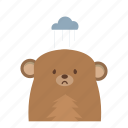 bear, sad