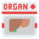 organ, donate, body, donation, charity
