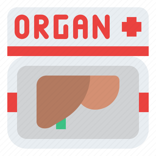 Organ, donate, body, donation, charity icon - Download on Iconfinder
