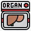 organ, donate, body, donation, charity 