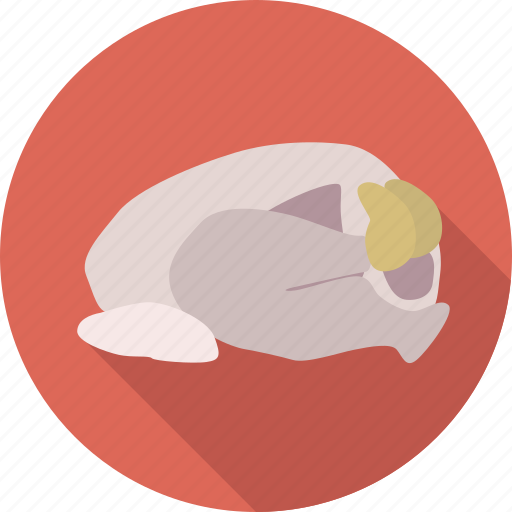 Chicken, food, meat, poultry, raw food, restaurant icon - Download on Iconfinder