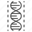 dna, isolated, thin, vector, yul8 