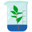 plant, in, beaker, botany, science, growth, experimental, setup, tiny 
