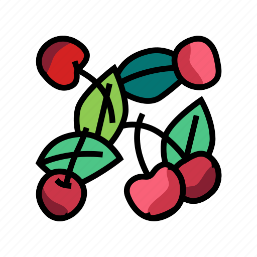 Cherry, composition, vitamin, freshness, berry, compote icon - Download on Iconfinder