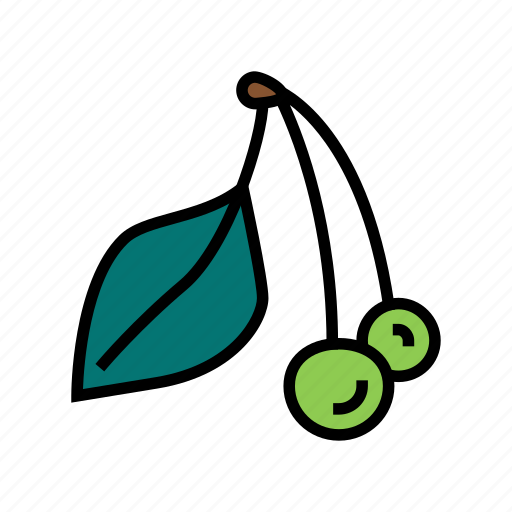 Green, cherry, vitamin, freshness, berry, compote icon - Download on Iconfinder