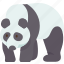 panda, bear, animal, wildlife, china 