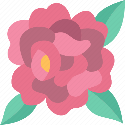 Peony, flowers, floral, traditional, chinese icon - Download on Iconfinder