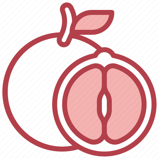 Food, fruit, healthy, orange, vegan, vegetarian icon - Download on Iconfinder