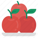 apples, fruit, organic, healthy, fresh, apple fruit